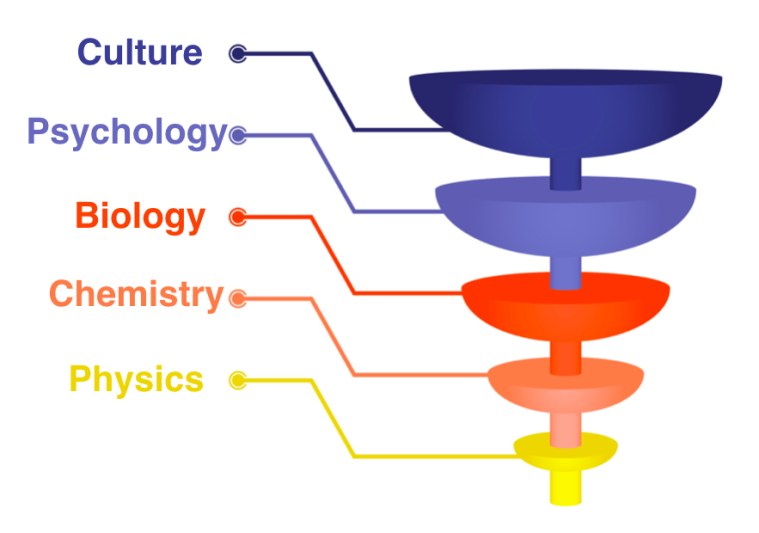 What is emergence? The science of new possibilities